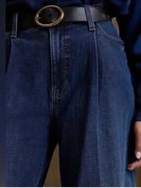 Banana Republic Pleated Wide Leg Jeans
